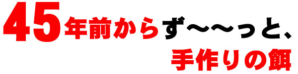 ̌ߎ͍葱45N̎̉aB