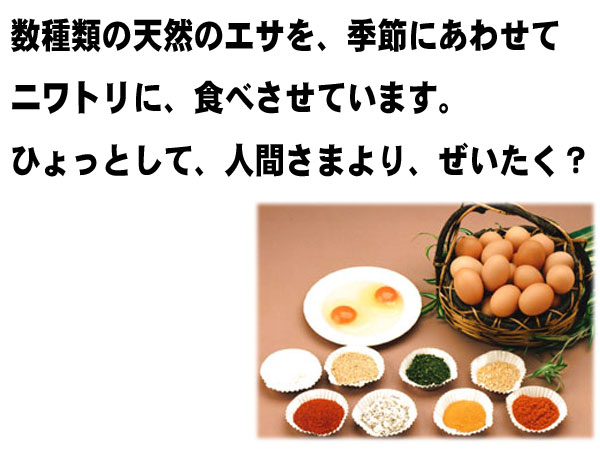 ̈ԑ厖Ȍ߂Ă͉aI